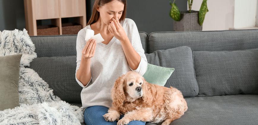 pet allergies