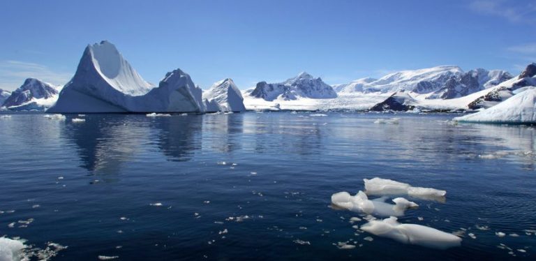 antarctica cruises