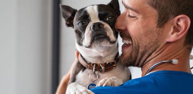 anxiety medication for dogs