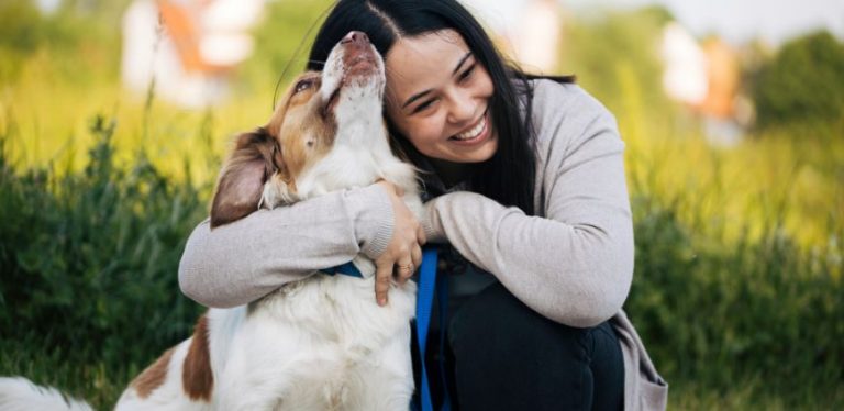 how to help dogs
