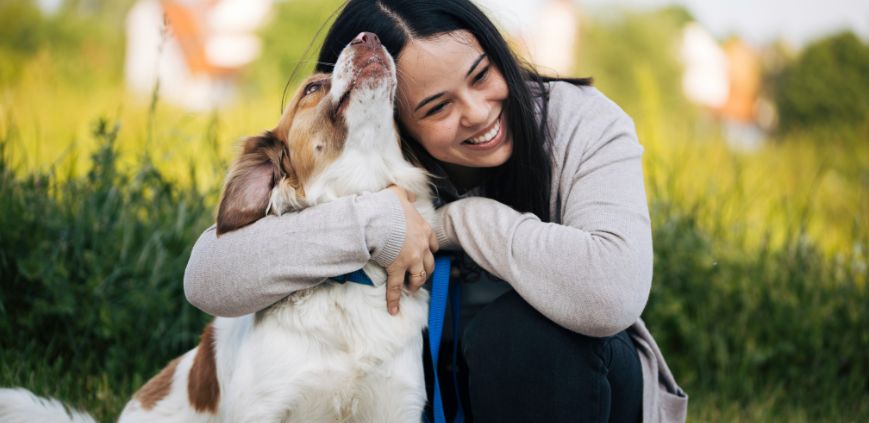 how to help dogs