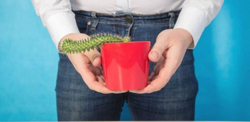 ulcerative colitis and erectile dysfunction
