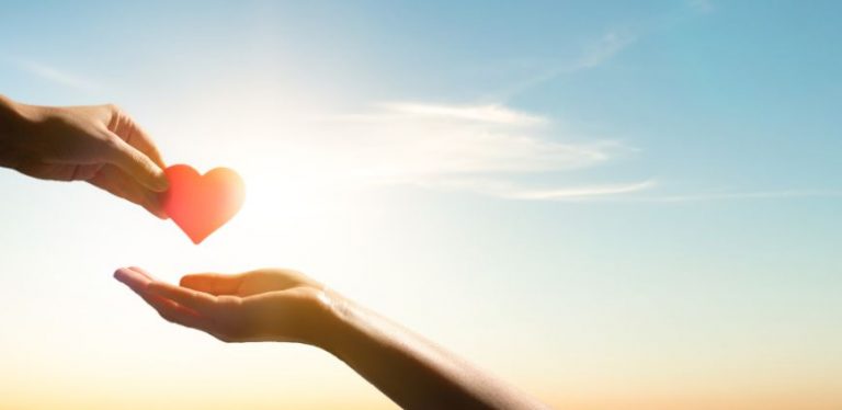 best canadian charities to donate to
