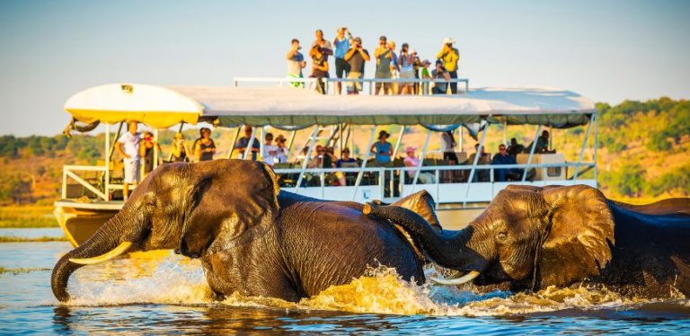 african safari tours